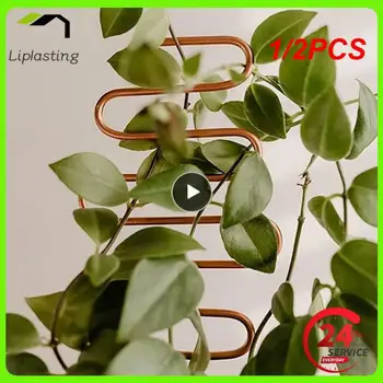 1/2PCS Stabil háztartási kerti növény mászást támogató keret geometria Teljes specifikáció Vas geometriai mászókeret