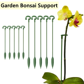 10db kerti bonsai támogató cövekálló egyszárú cserjetartó pillangók orchidea zamatos növényi állvány rögzített virágokhoz