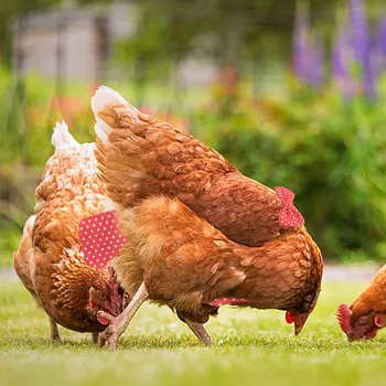 Baromfipelenka mosható pelenkaszövet farm kisállat kacsa csirke állítható rugalmas szalagos szövetpelenka kacsa tyúkcsirke számára