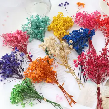 Egy csomó mini természetes szárított virág baba lehelet friss csokor dekoráció epoxigyanta öntés DIY aromaterápiás gyertyaforma kézműves eszköz