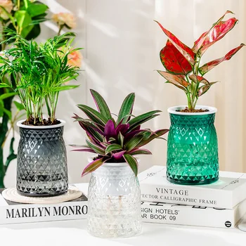 Egyszerű átlátszó virágváza vízültető váza önfelszívó rendszerekkel esküvői otthoni asztal parti kerti dekorációhoz