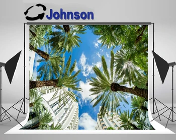 JOHNSON Miami Beach Városkép Pálmafák Ég Felhők hátterek Kiváló minőségű Számítógépes nyomtatás esküvői hátterek