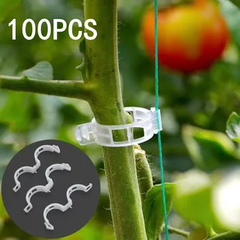  Növényi klipek Támogatja az újrafelhasználható műanyagot Összeköti a szőlő paradicsom szárának oltását Zöldségnövények Gyümölcsös és kerti szerszámok