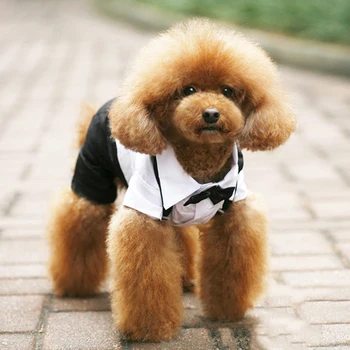 Pet kutya macska ruhák Tuxedo herceg csokornyakkendő öltöny Chihuahua kabát Jóképű háziállatok kutya öltöny esküvői ruha jumpsuit kabát S-XXL