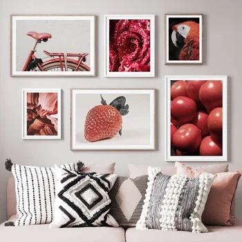 Piros eper paradicsom rózsa virág papagáj kerékpár plakátok és nyomatok fali művészet vászonfestés dekoratív képek a nappaliban